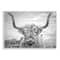 Stupell Industries Black & White Highland Cow Wall Plaque